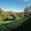 Willie Gibbons House